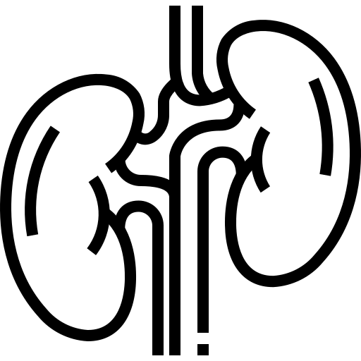 Kidney Care Icon