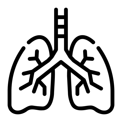 Pulmonology Icon